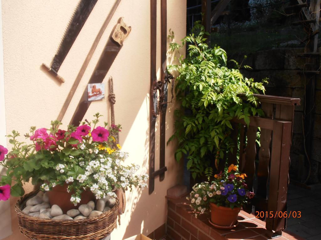 Ferienwohnungen "Gruendelrast" Prossen ภายนอก รูปภาพ