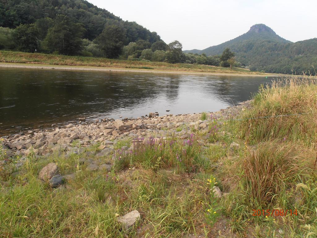 Ferienwohnungen "Gruendelrast" Prossen ภายนอก รูปภาพ